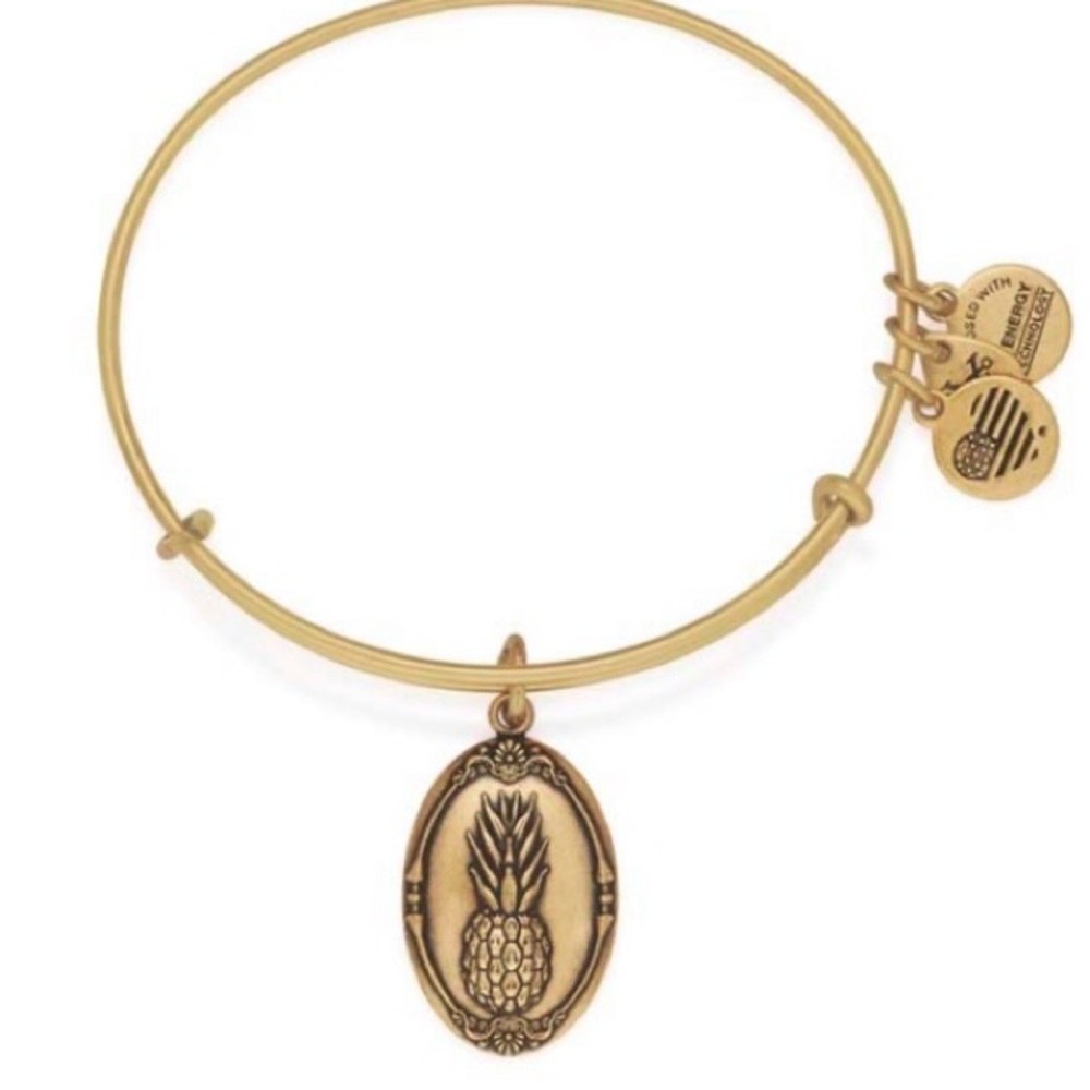 ❤️4 heart items $20  Gold Charm Bangle Bracelet with Pineapple